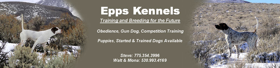 Epps Kennels - Training and Breeding for the future