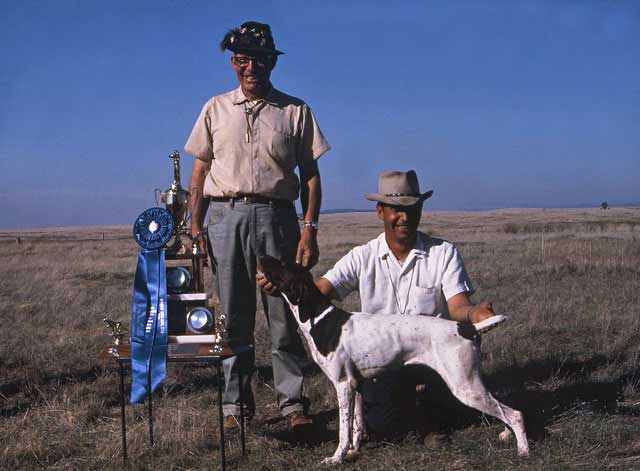 AKC National Field Champion Moesgaards Angle