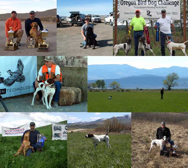 Bird Dog Challenge  Competitors