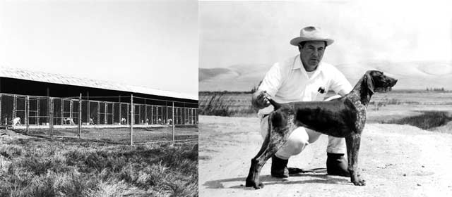 Schau Speiler Kennels at Grizzly Island and National Futurity Champion Judy