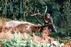 Jake's Elk 2